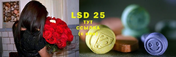 первитин Кодинск