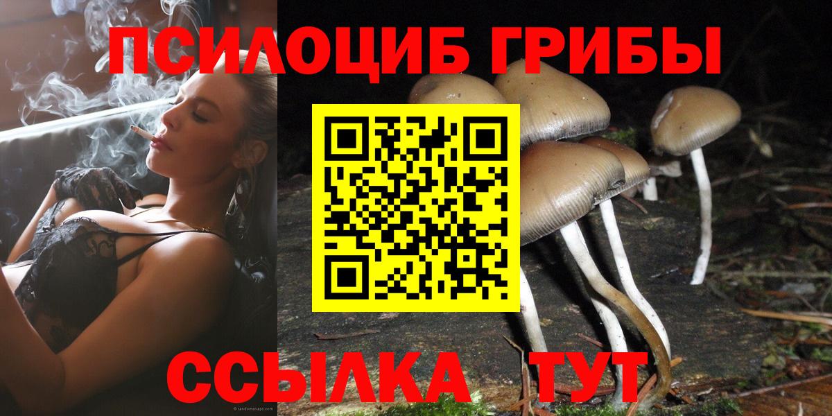 Псилоцибиновые грибы мицелий Кохма