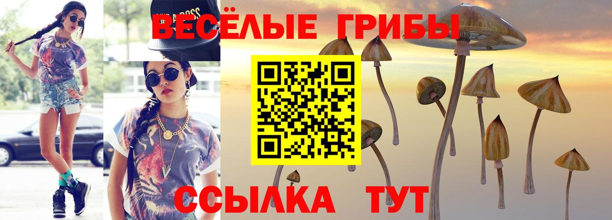 Кохма  Галлюциногенные грибы Psilocybine cubensis  Вход с VPN 